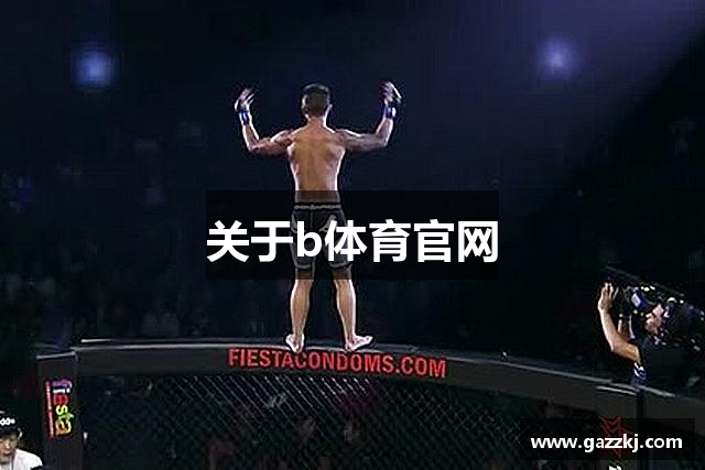 关于b体育官网